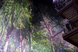 Gasometer Pforzheim: Kunst im Denkmal